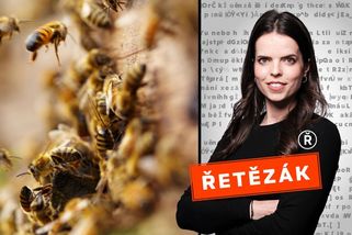 Včelí jed zatím není navzdory fámám lékem na rakovinu. Výzkum ale vypadá slibně - Novinky