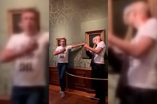 Aktivista si přilepil hlavu ke slavnému obrazu Dívka s perlou - Novinky