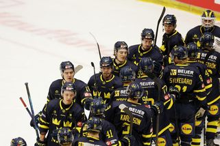 MS hokej | Švédové budou na MS spoléhat na deset hráčů z NHL - Sport.cz