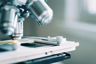 Nový průlom ve výzkumu Downova syndromu: nadbytečný chromozom lze odstranit i umlčet