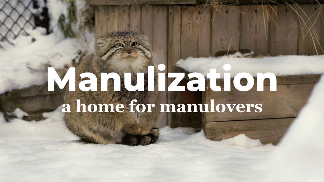 Manulization