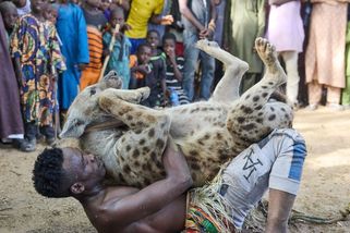 Na hraně magie, bídy a utrpení zvířat. Hyení muži z Nigérie udržují pradávnou tradici