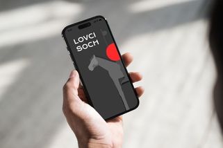 Konec nahánění pokémonů. Zájemci mohou v Brně lovit sochy - Novinky