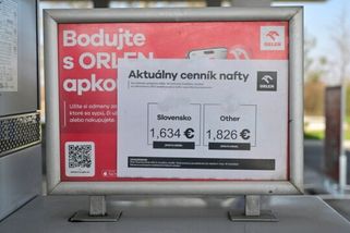 Slovensko zavedlo dvojí ceny nafty, řidiči aut ze zahraničí platí více | ČeskéNoviny.cz