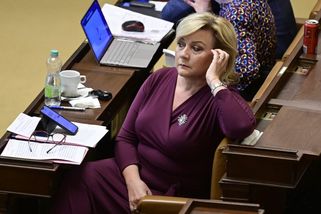 Nehoráznost dluhové královny Schillerové jako bezp...