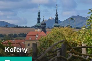 Šlechtitelská stanice vrb a topolů v Kunovicích - Kořeny | Seznam Podcasty