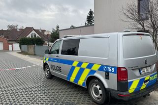 Policie po 20 letech objasnila vraždu novorozence z Krupky na Teplicku - Novinky