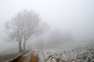 Týden bude chladný a šedivý - Novinky