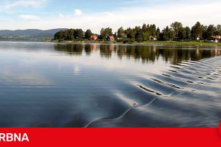 Za zhoršenou vodu v Lipně může fosfor z rašelinišť, ukázala studie