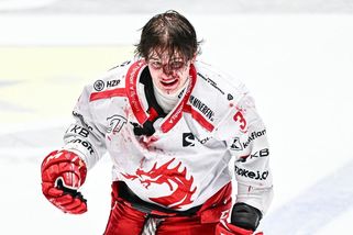 „Třinec se nechává zesměšnit. Na co toho hráče mají?" Expert řeší dohru krvavé bitky