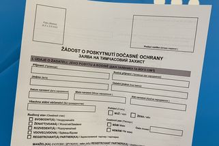 Německo podporuje omezení dočasné ochrany pro ukrajinské muže, uvedl ministr - Seznam Zprávy