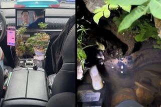Čínský taxikář překvapil cestující, v kabině vytvořil zátiší s jezírkem a bonsají