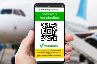 Aplikaci Tečka si už nainstalovalo skoro půl milionu lidí - Novinky