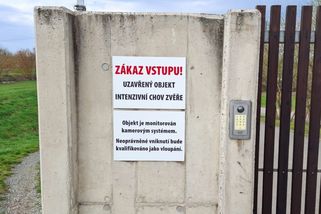 Do obory Obelisk se lidé nedostanou. Podle ministra Hladíka její majitel porušuje zákon - Novinky