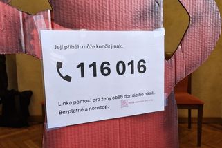 Linka 116 016. Oběti domácího násilí se dovolají bezplatně a nonstop - Novinky