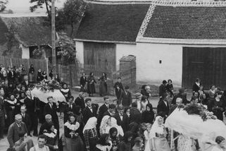 Řeka tehdy vydávala těla celé měsíce. Ze školního výletu na Pálavu se domů nevrátily desítky dětí