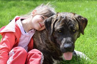 Dcera si přála žít u babičky s pejskem. Otci u soudu nepomohlo nic
