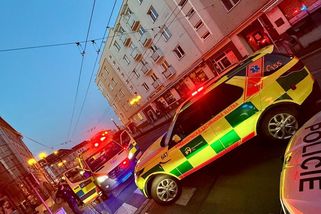 Muž chtěl sundat kočku z římsy v centru Opavy. Po pádu má těžké zranění hlavy - Novinky
