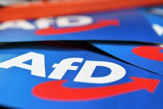Alternativa pro Německo je poprvé v mediálním průzkumu nejsilnější stranou - Seznam Zprávy