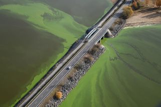 Příběh zeleného Lipna: Podaří se zachránit „jihočeské moře“? I. část