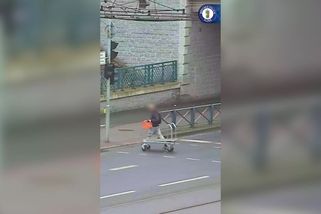 Muž se promenádoval po Plzni s kradeným nákupním vozíkem - Novinky
