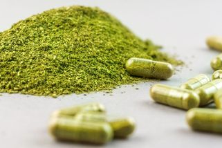 Regulace kratomu podle Babiše nefunguje, okamžitý zákaz ale nebude - Seznam Zprávy