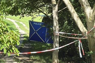 Hrůzný nález v pražském parku: Na stromě viselo tělo se smyčkou kolem krku