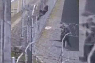 Pokus o útěk z Pankráce zachytily kamery. Kolik vězňů se ročně snaží utéct - Seznam Zprávy