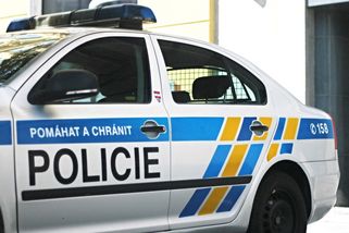 Hrůzné detaily z vraždy v Kynšperku: Matka měla hodit ostatky dítěte psům