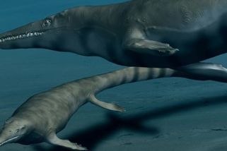 Největší dravec konce druhohor byl větší než T-Rex a vůbec nešlo o dinosaura - Médium.cz