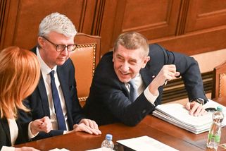 Osm let základní školy či odpuštění daně pro matky tří dětí? Babiš vyzývá k debatě o porodnosti - Echo24.cz
