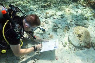 Na Bahamách našli stopy po skutečných pirátech z Karibiku