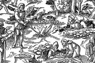 První rozeznaná zkamenělina rostliny byla objevena roku 1557 v Jáchymově - Médium.cz