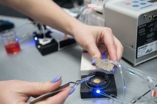 Český biočip spolehlivě detekuje covid, prokázala studie. Rychleji než PCR - Novinky