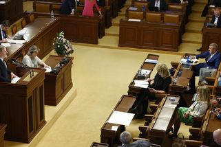 Poslanci schválili korespondenční volbu navzdory protestům opozice - Novinky