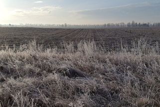 Střední Evropu čeká o víkendu mrazivý šok - Novinky