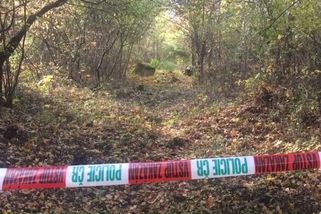 Ženu s intelektem dítěte vylákal na Chebsku do lesa a znásilnil. Odsedí si tři roky - Novinky