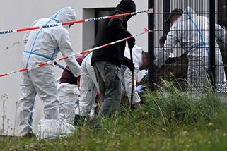 Polský pár našel pod cestou k novému domu ostatky 29 nenarozených dětí - Novinky