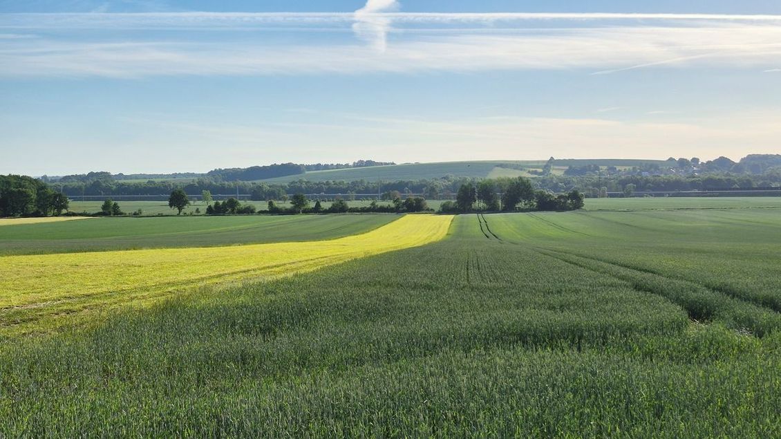 Agrofert může získat snadnější cestu k polím. Stát chystá předkupní právo na půdu - Novinky