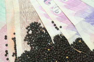 Agrofert nyní nečerpá žádné dotace, řekl ve Sněmovně premiér Babiš
