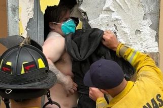 Lupič v Kalifornii se na půl dne zaklínil mezi zdi kina a kavárny. Volání o pomoc zaslechli policisté při ranní kávě - Novinky