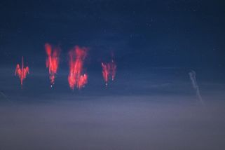 Český fotograf pořídil vzácný snímek rudých skřítků - Novinky