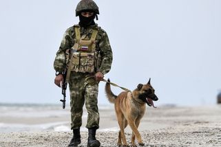 Ruskem dosazené vedení Chersonské oblasti žádá Putina o včlenění do Ruska - Novinky