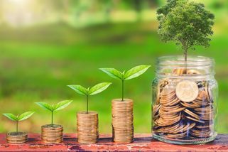 Jsou ESG specialisté, co zabijí byznys, aby zachránili motýla, varuje expert - Seznam Zprávy