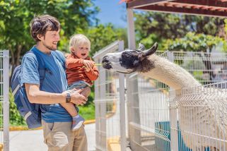 Vyhlašujeme nejlepší zoo v ČR 2026: Není to Praha ani Brno, zkuste uhodnout. Na Googlu má 4,8 z 5