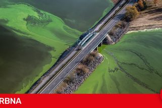 Špatná interpretace nebo záměr? Za zhoršenou kvalitu vody v Lipně mohou lidé