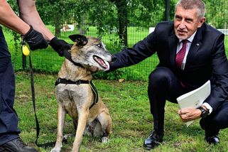 Andrej Babiš zapózoval s policejním psem: Dali mu vskutku originální jméno. Ještě víc zaujala zvířecí řeč těla