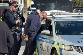 prahain.cz/krimi/muz-se-zakazem-rizeni-pri-honicce-s-policisty-zpusobil-nehodu-v-zabehlicke-ulici-27120.html