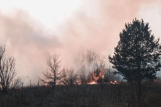 Motoristé neumějí řídit. Kolik nás to bude stát? - Médium.cz