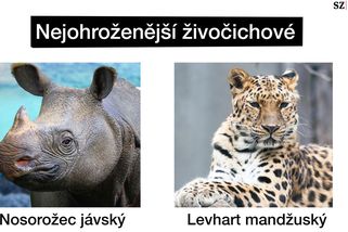 TMBK: Ivan Bartoš po krajských volbách přeci jen urval jeden rekord - Seznam Zprávy